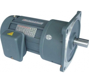 Động cơ giảm tốc Wansin - Kiểu mặt bích